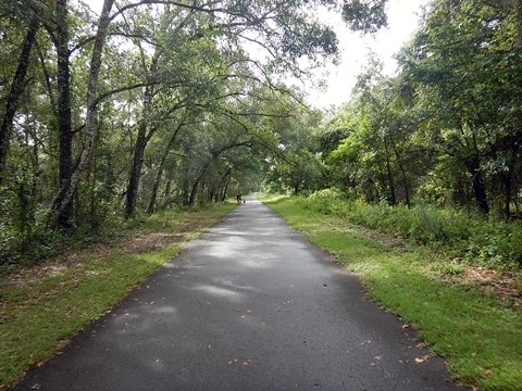 Withlacoochee State Trail Top 10 FL Biking E Z Map 75 Photos